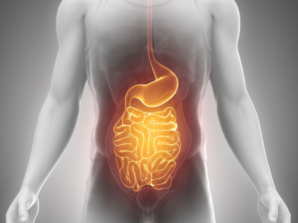 sabja seed or Basil seed health benefits