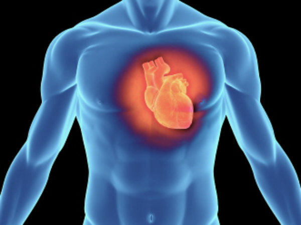 sabja seed benefits for heart