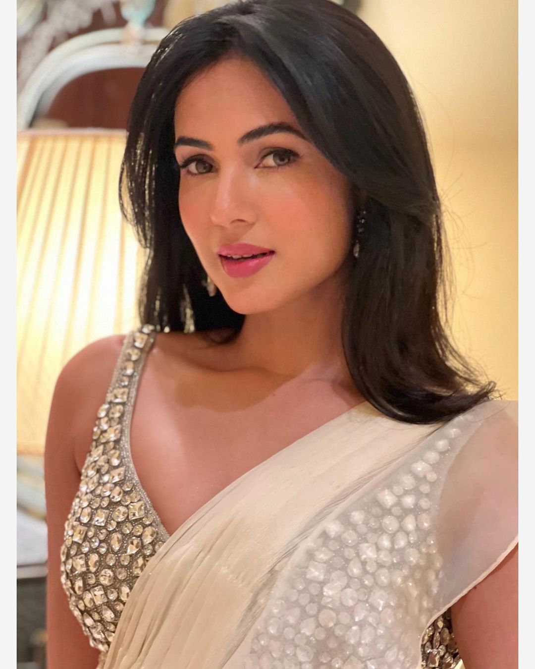 Sonal Chauhan Age