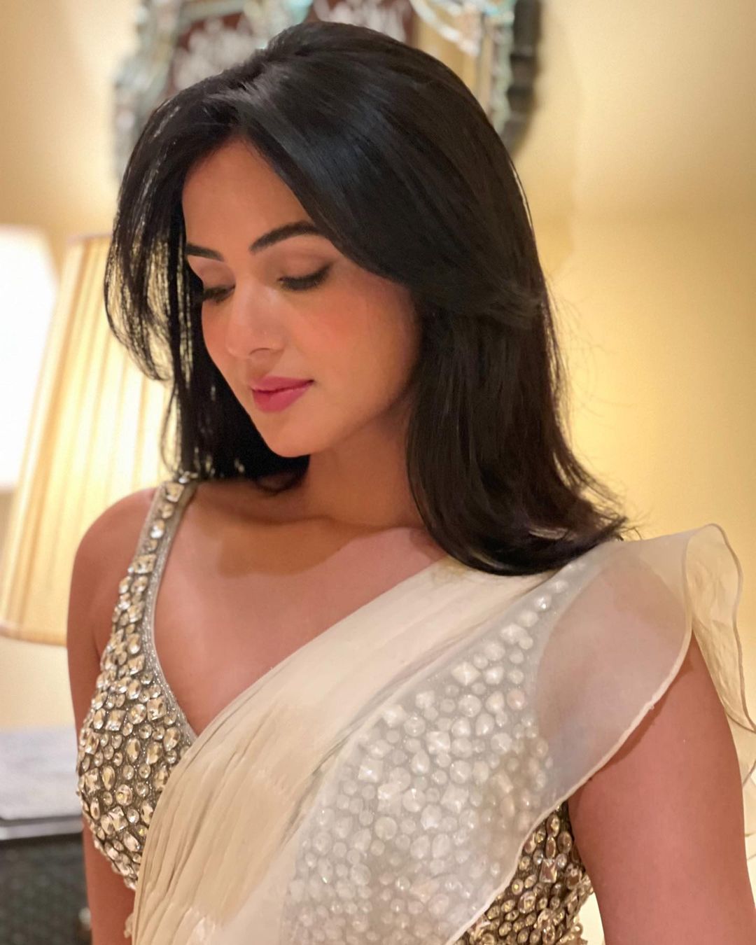 Sonal Chauhan movies