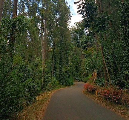 கொளுத்தும் வெயிலை சமாளிக்க.. தமிழ்நாட்டின் இந்த ஹாட்ஸ்பாட் மலைக்கு