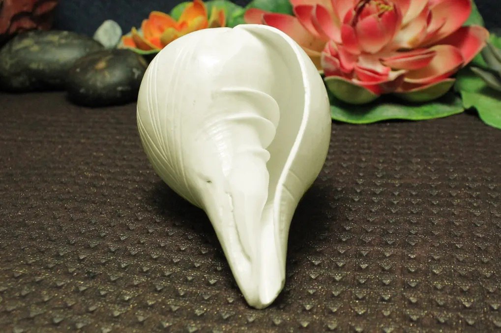 Vastu Tips: अगर आप भी अपने घर में रखते हैं शंख तो इन नियमों का जरूर ...