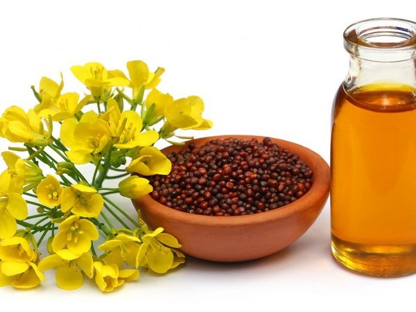 Mustard Oil health benefits