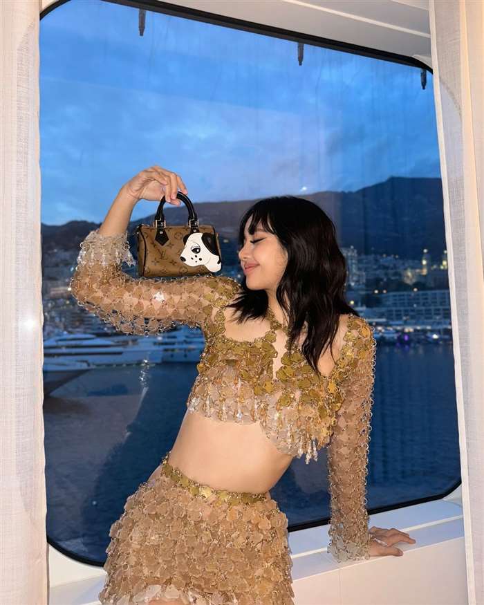 and a mauve lip shade - complemented her stunning attire.