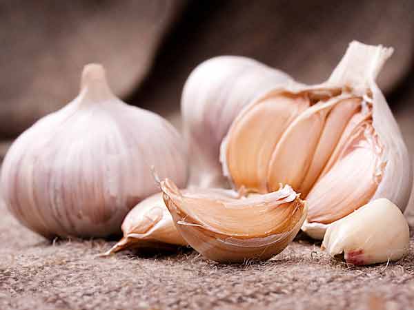 roasted garlic