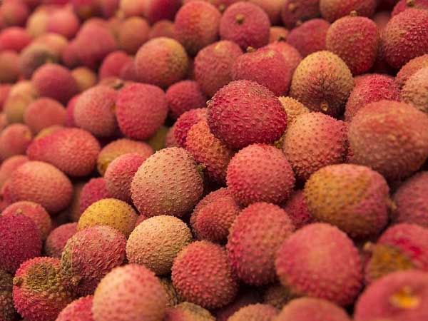 top five health benefits of Litchi