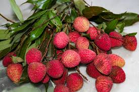 top five health benefits of Litchi