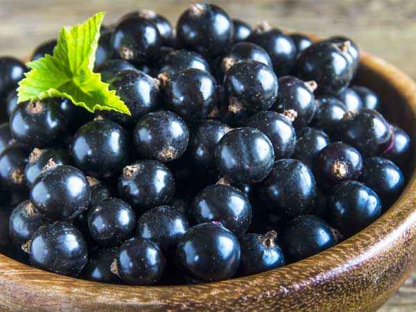 best health benefits of Jamun