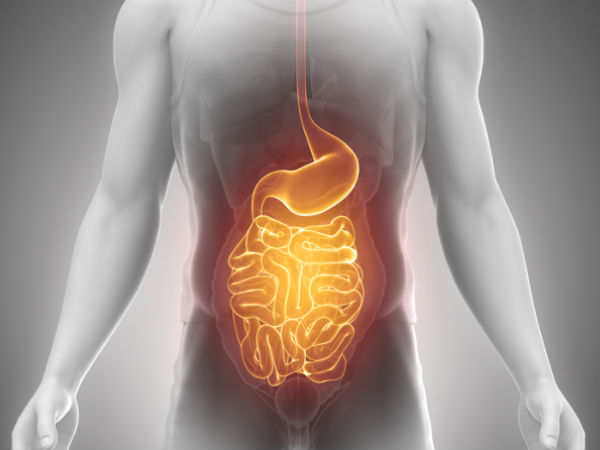 health benefit of Gond Katira