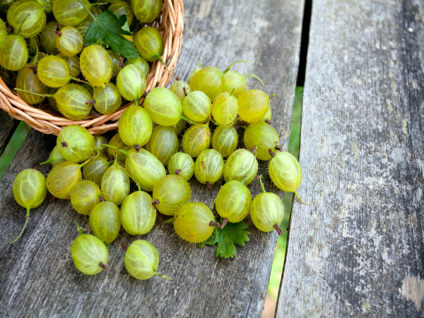 amla