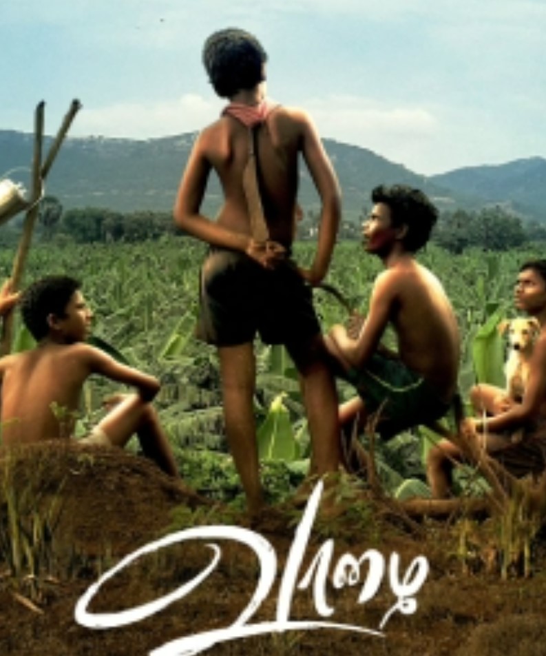 movies release in august