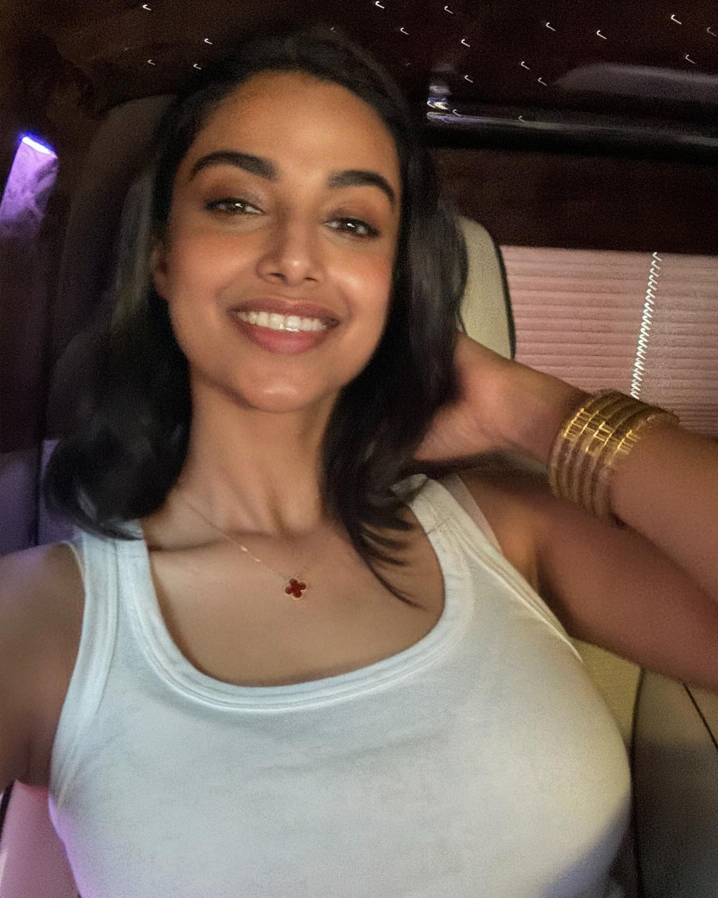 meenakshi Chaudhary