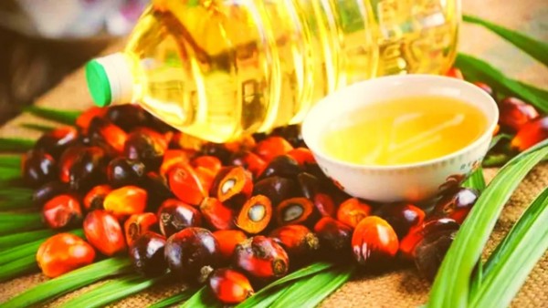 side effects on Palm oil