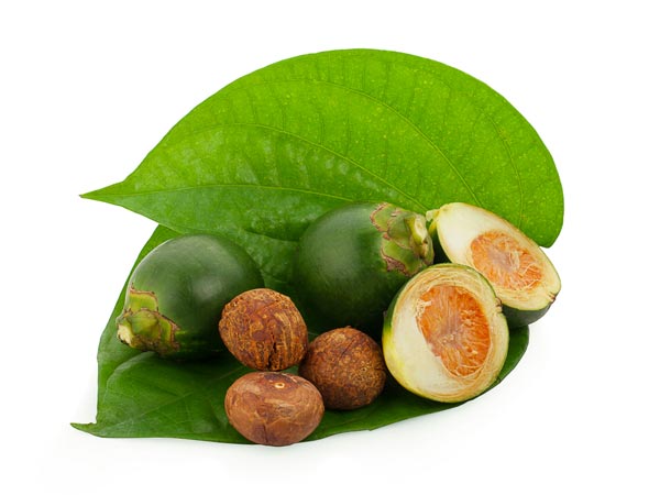 areca nut health benefits