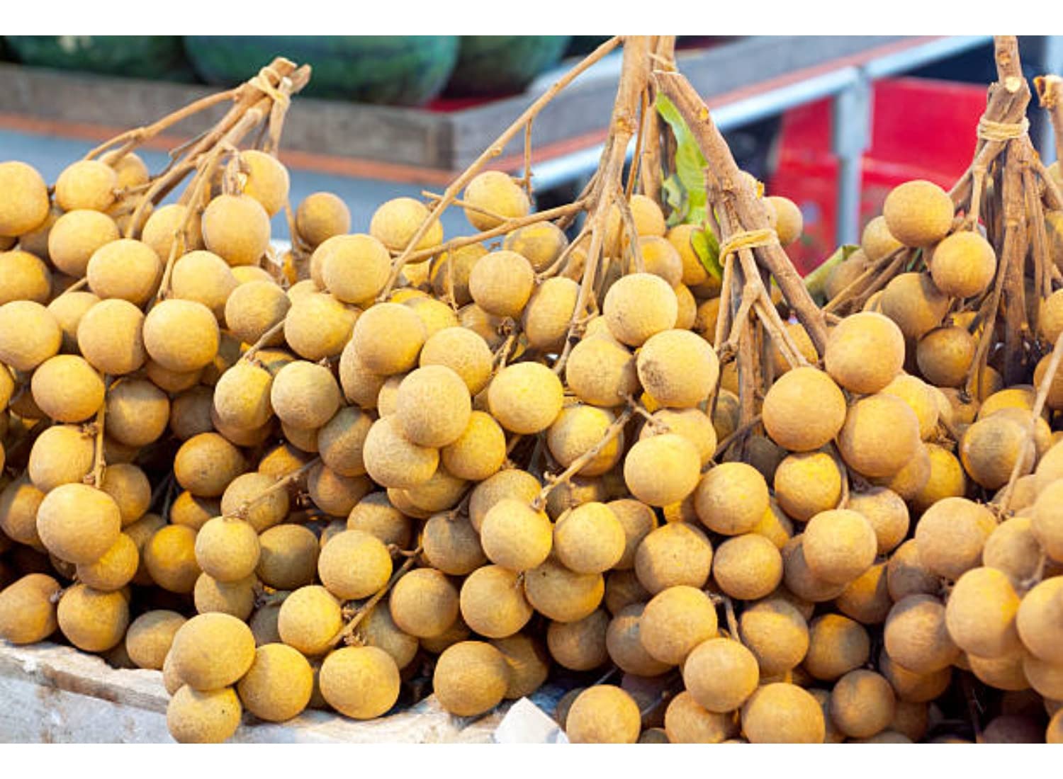 best health benefits of Longan fruit