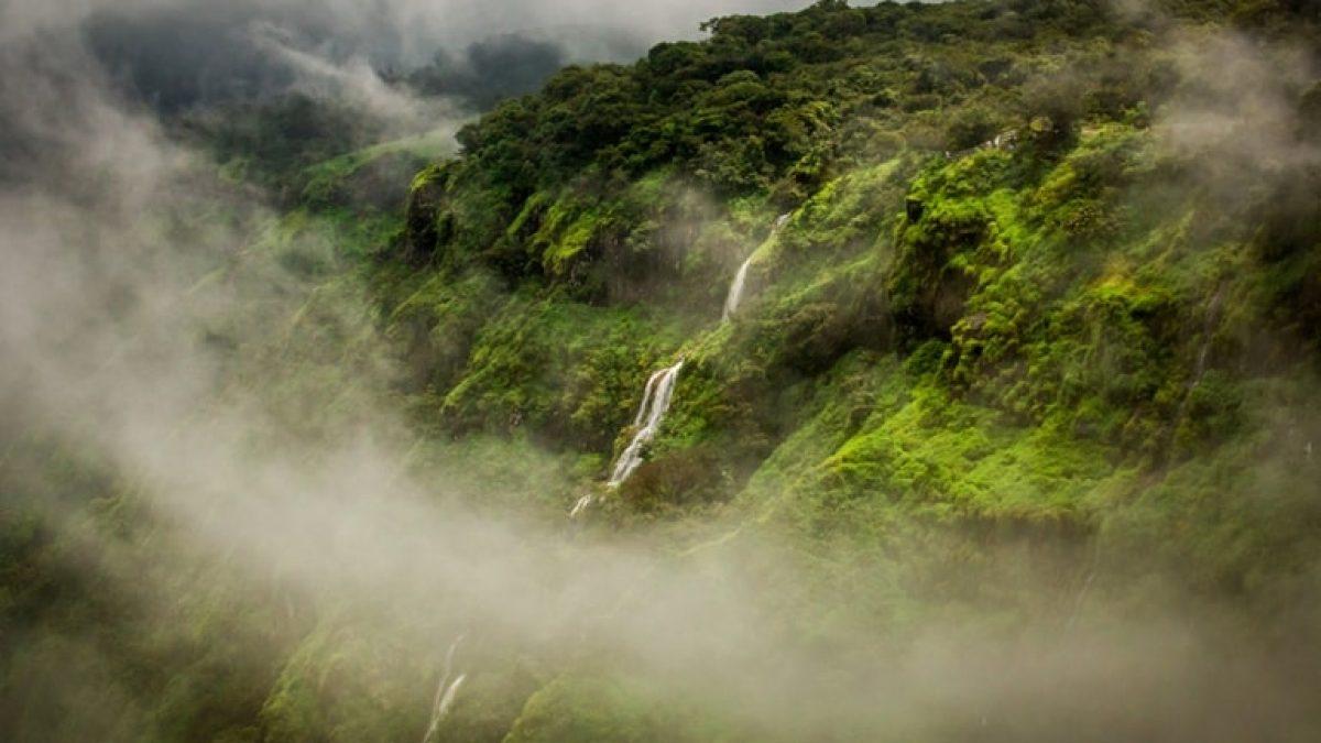 Monsoon trip