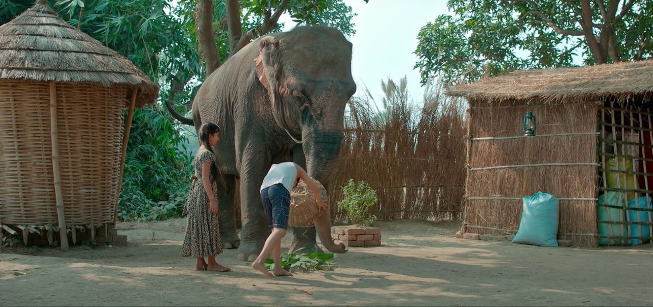 Hathi Mere Sathi Bhojpuri Movie