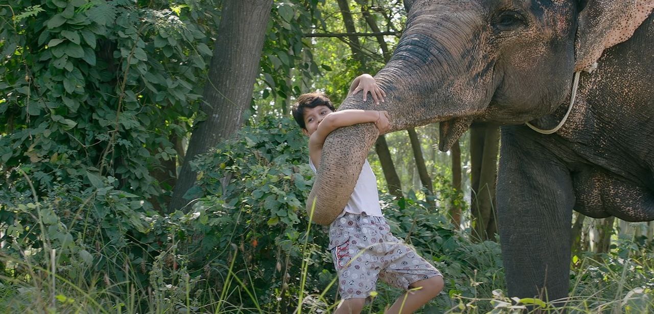 Bhojpuri Actors Yash Kumar Upcoming Movie