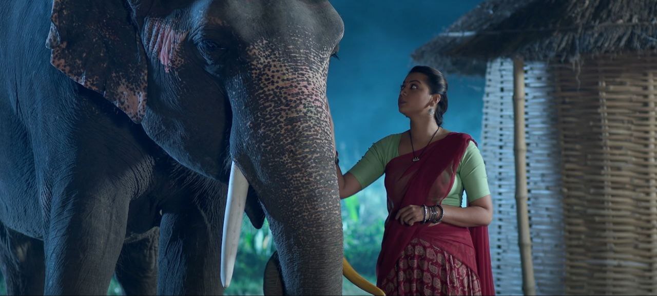 Hathi Mere Sathi Bhojpuri Movie