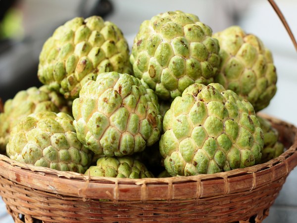 Is Custard Apple Safe for Diabetics
