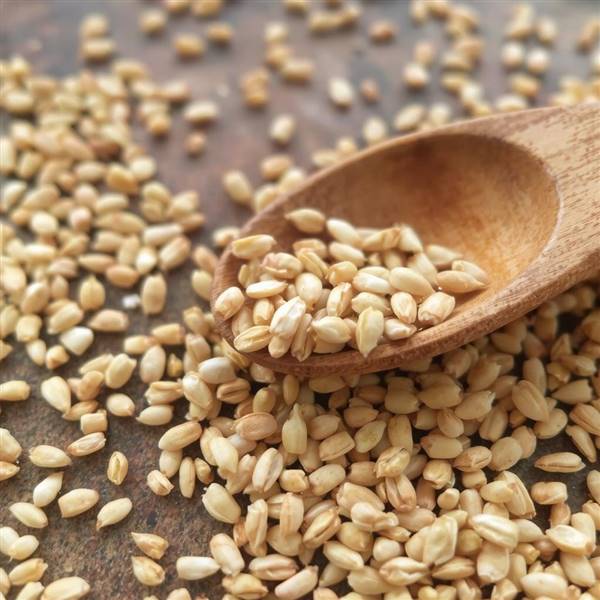 sesame seeds