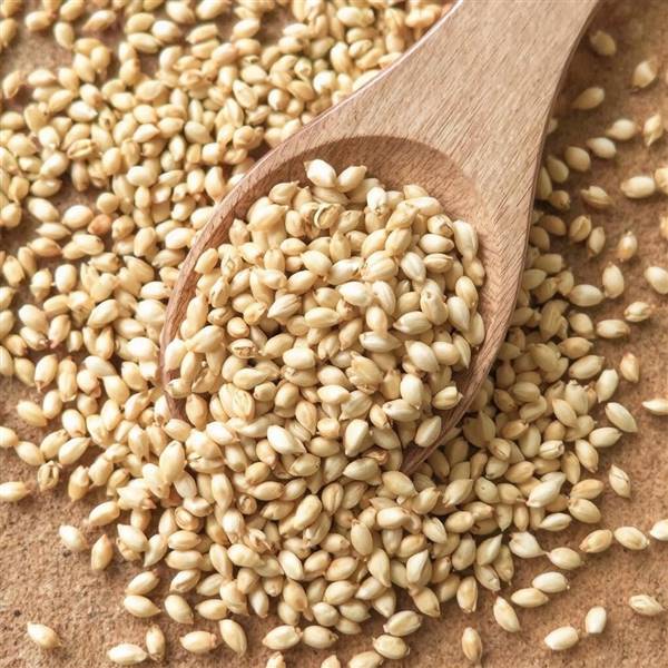 sesame seeds