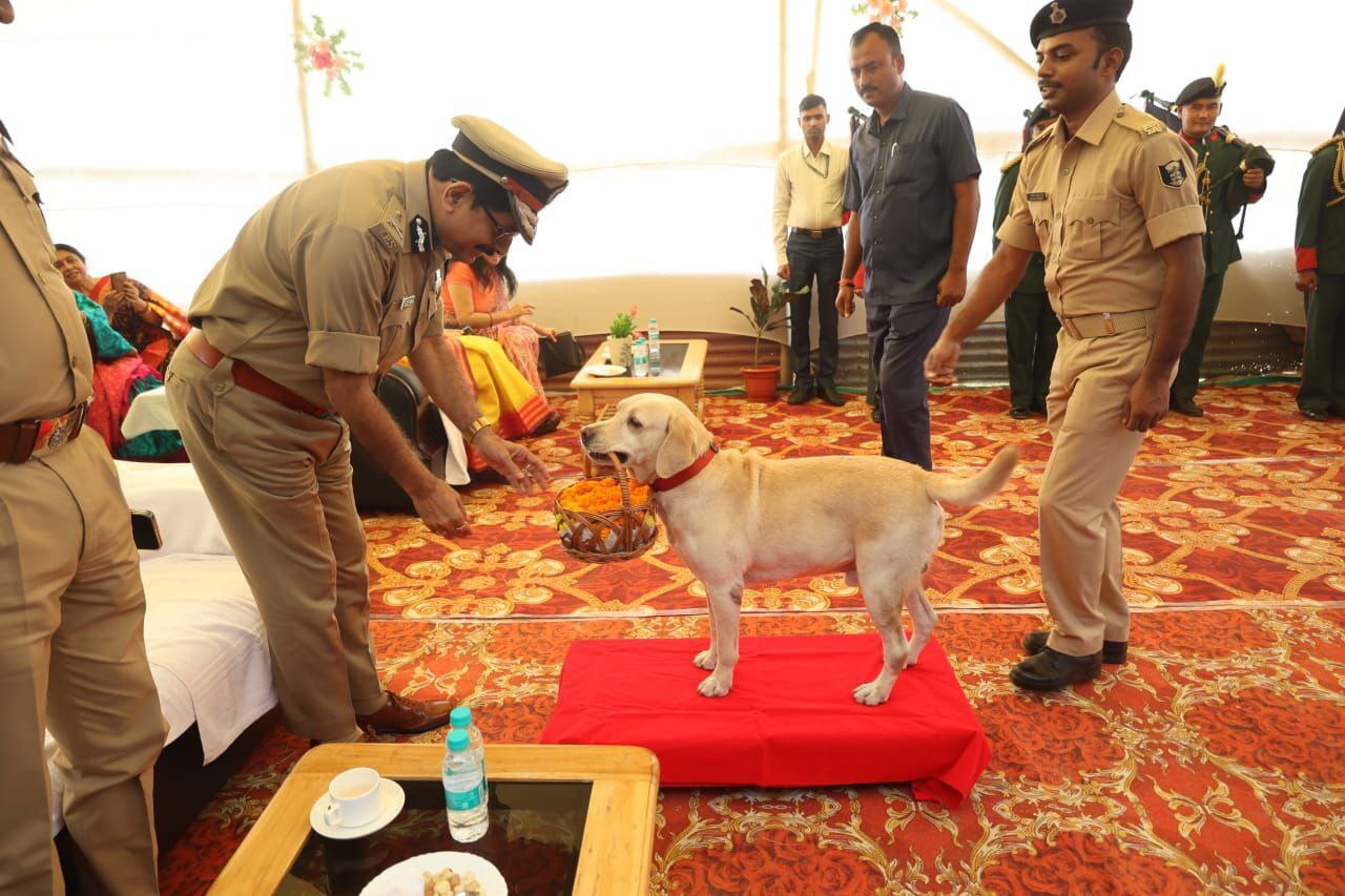 public safety, community engagement