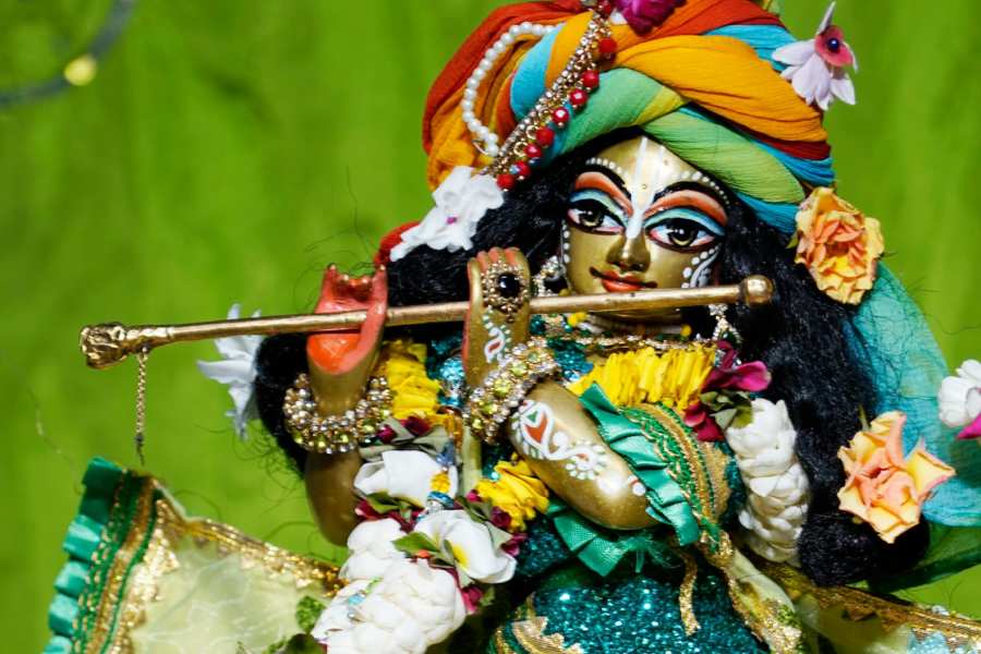 Laddu Gopal