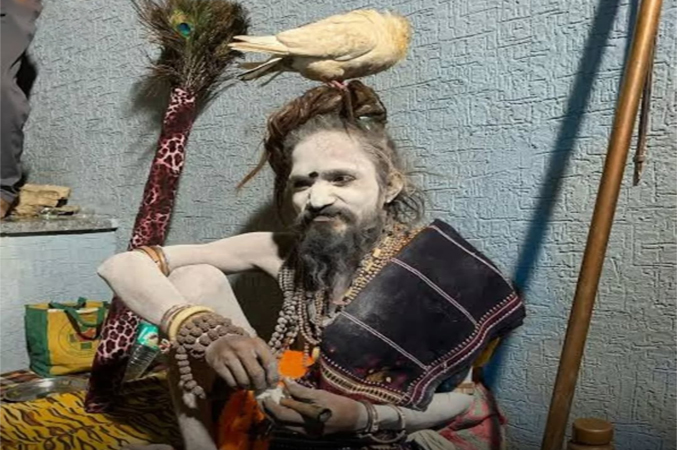 Mahakumbh Mela 2025: Different Types Of Naga Sadhus Participated In Maha Kumbh Mela