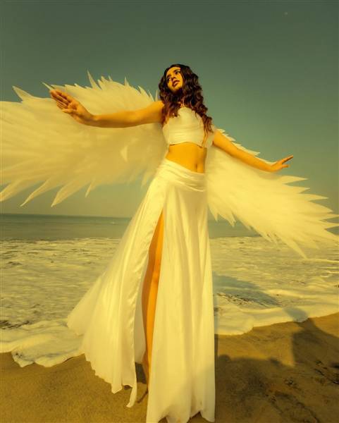 priya p varrier