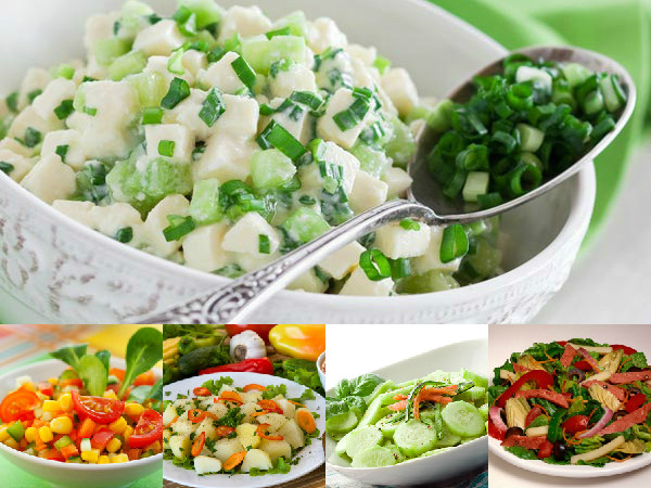 vegetarian food lovers