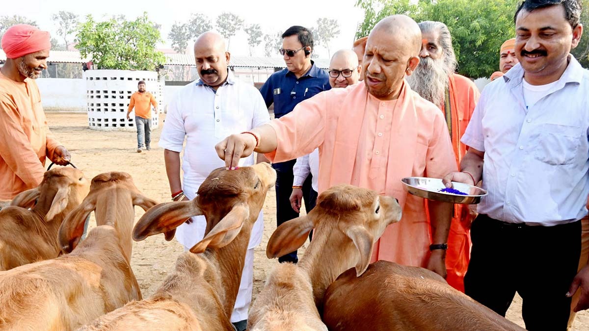 holi cm yogi