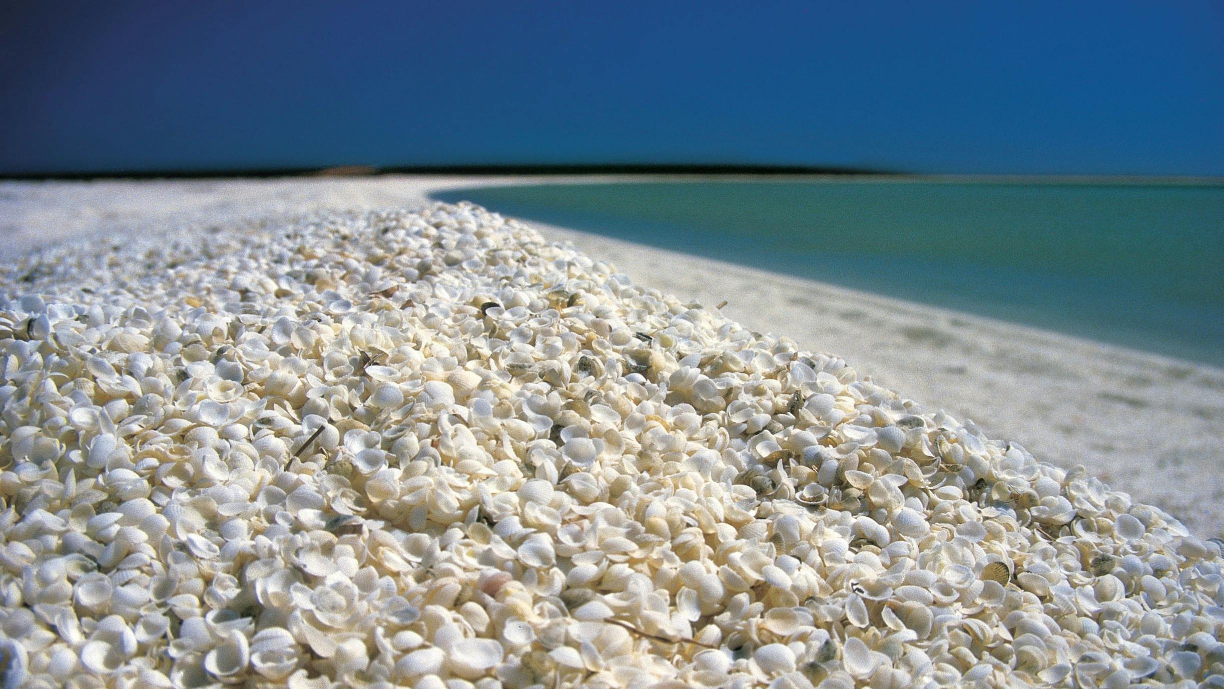 Shell Beach, Australia