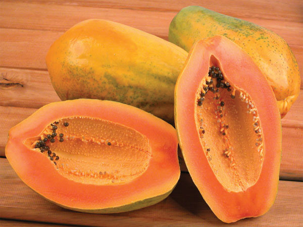papaya