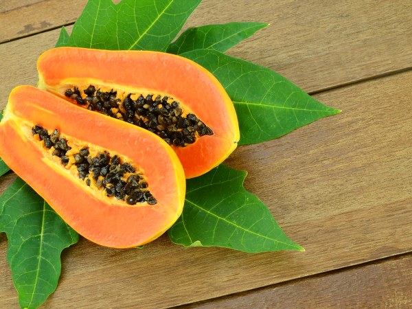 papaya