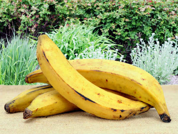 banana