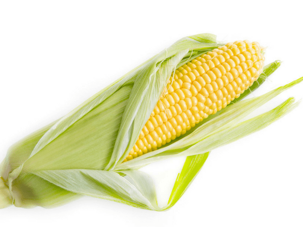 corn