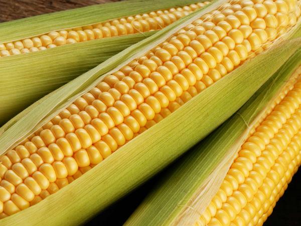 corn