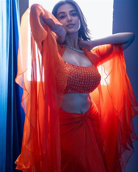 meenakshi chaudhary