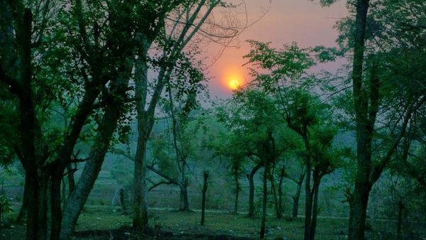 hillstation