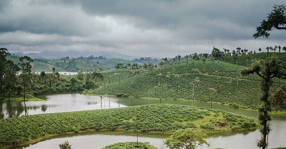 hillstation