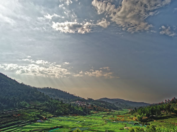 hillstation