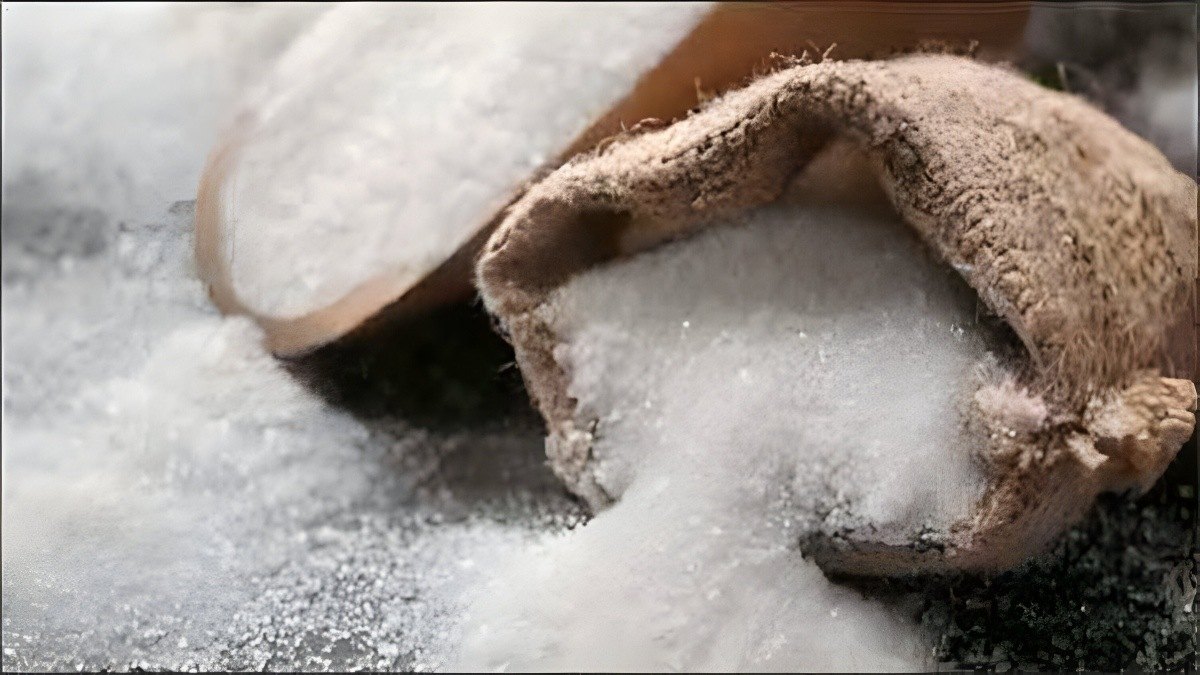 Sugar