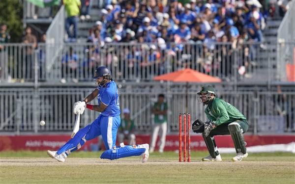 cricket