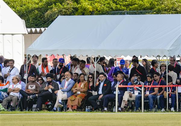 cricket