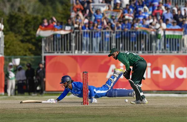 cricket