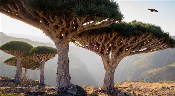 amazing places