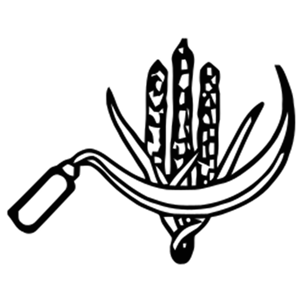 Communist Party Of India