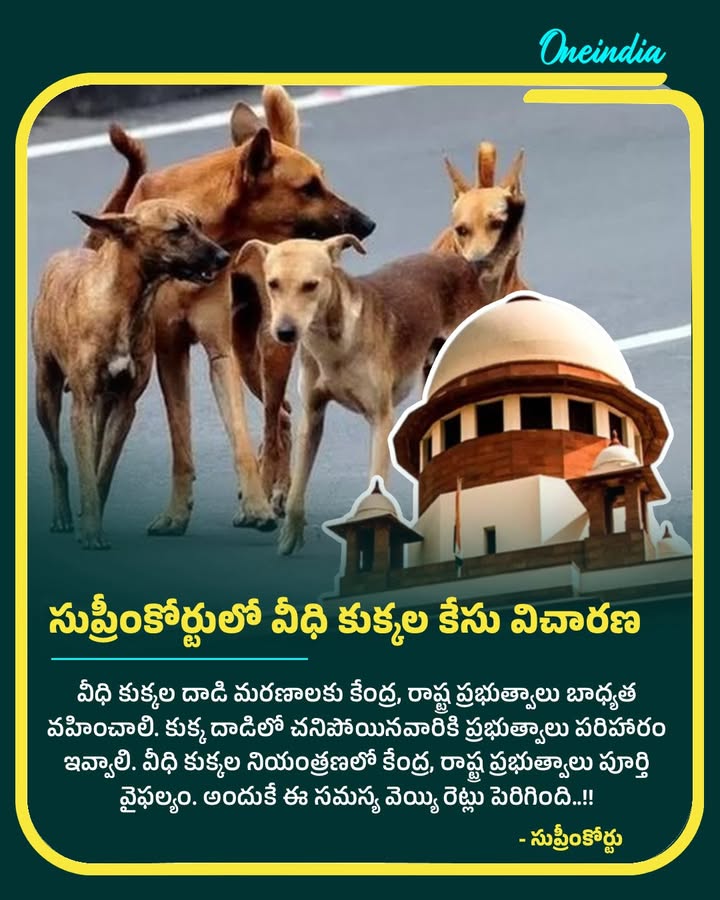 సుప్రీంకోర్టులో వీధి కుక్కల కేసు విచారణ