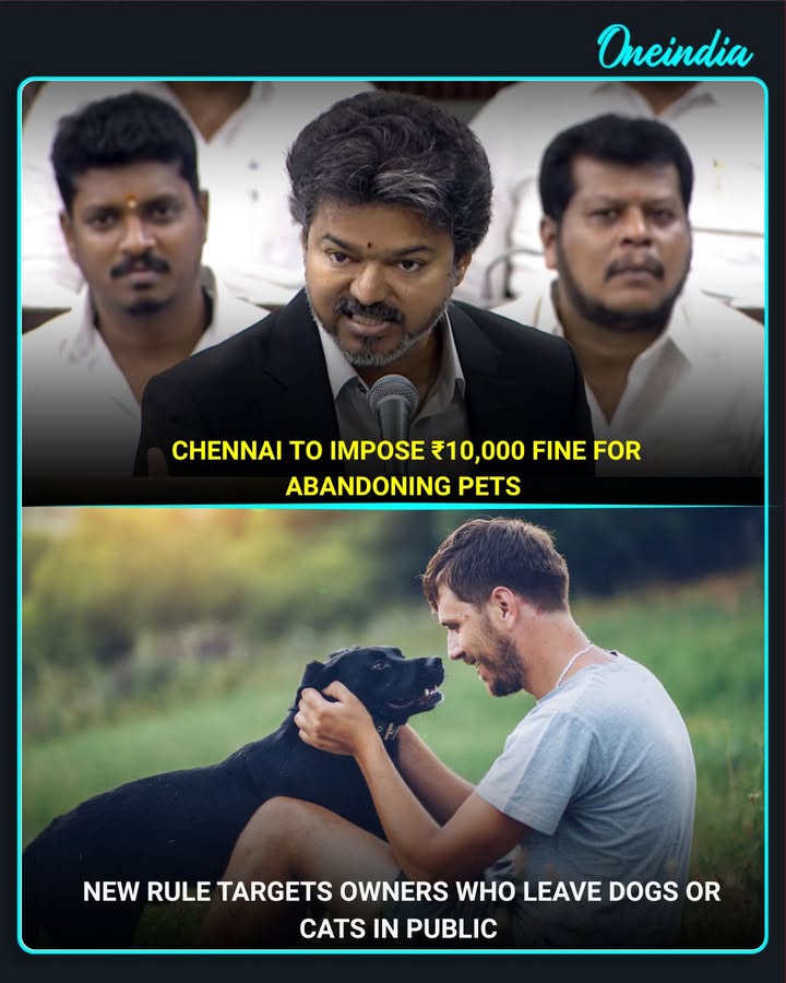 No pet abandonment in Chennai!